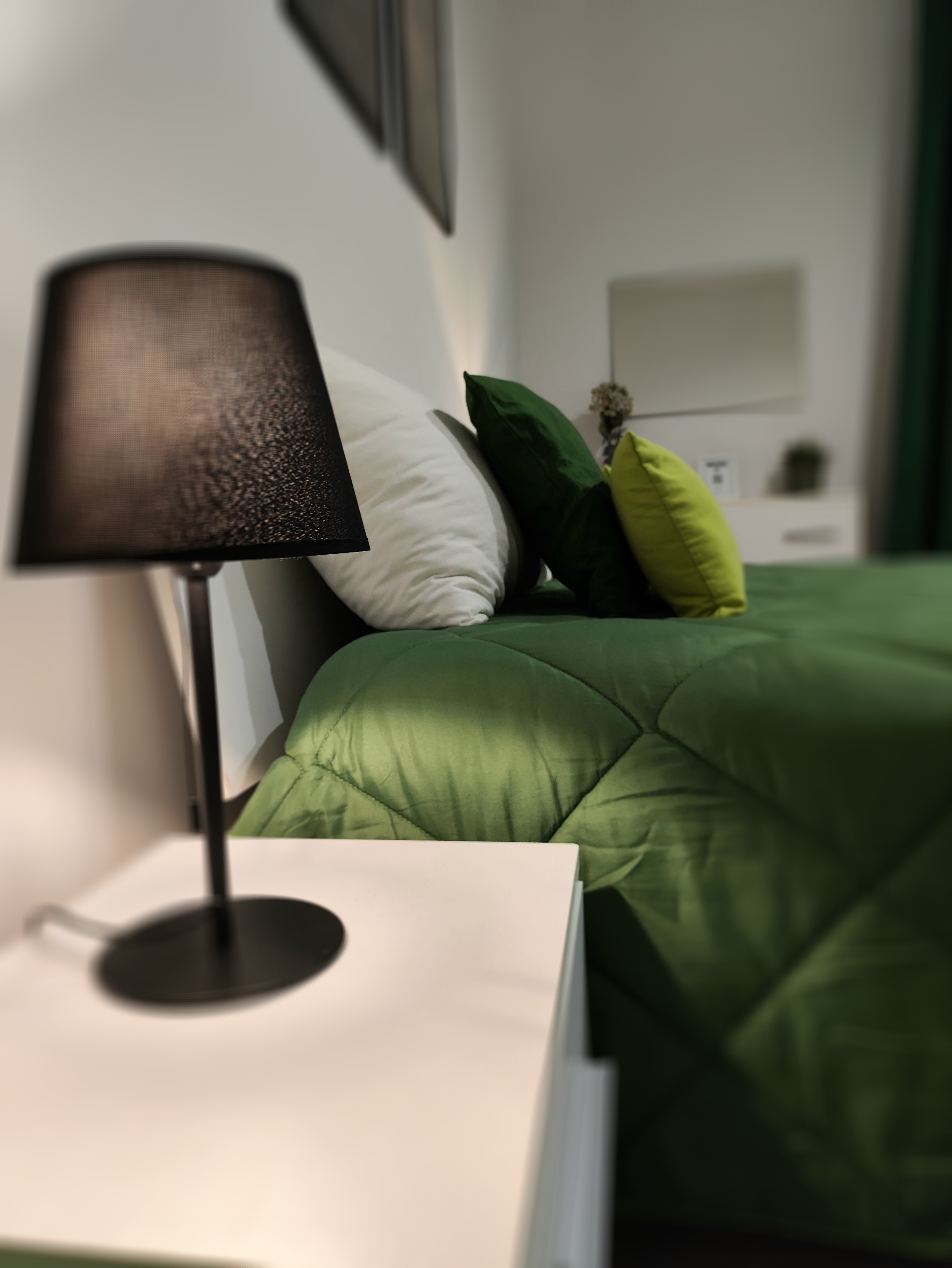 Camera Verde 5