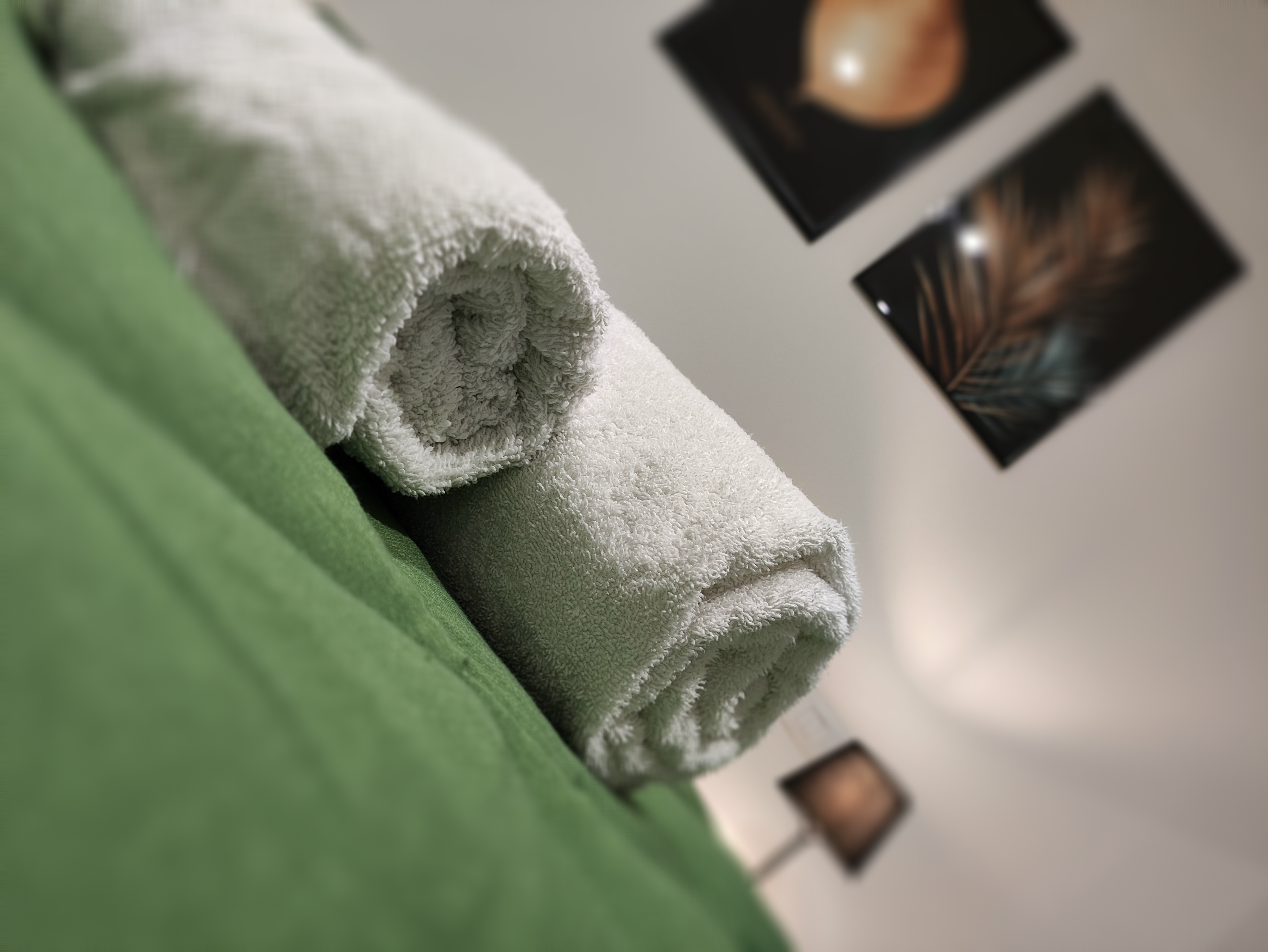 Camera Verde 6