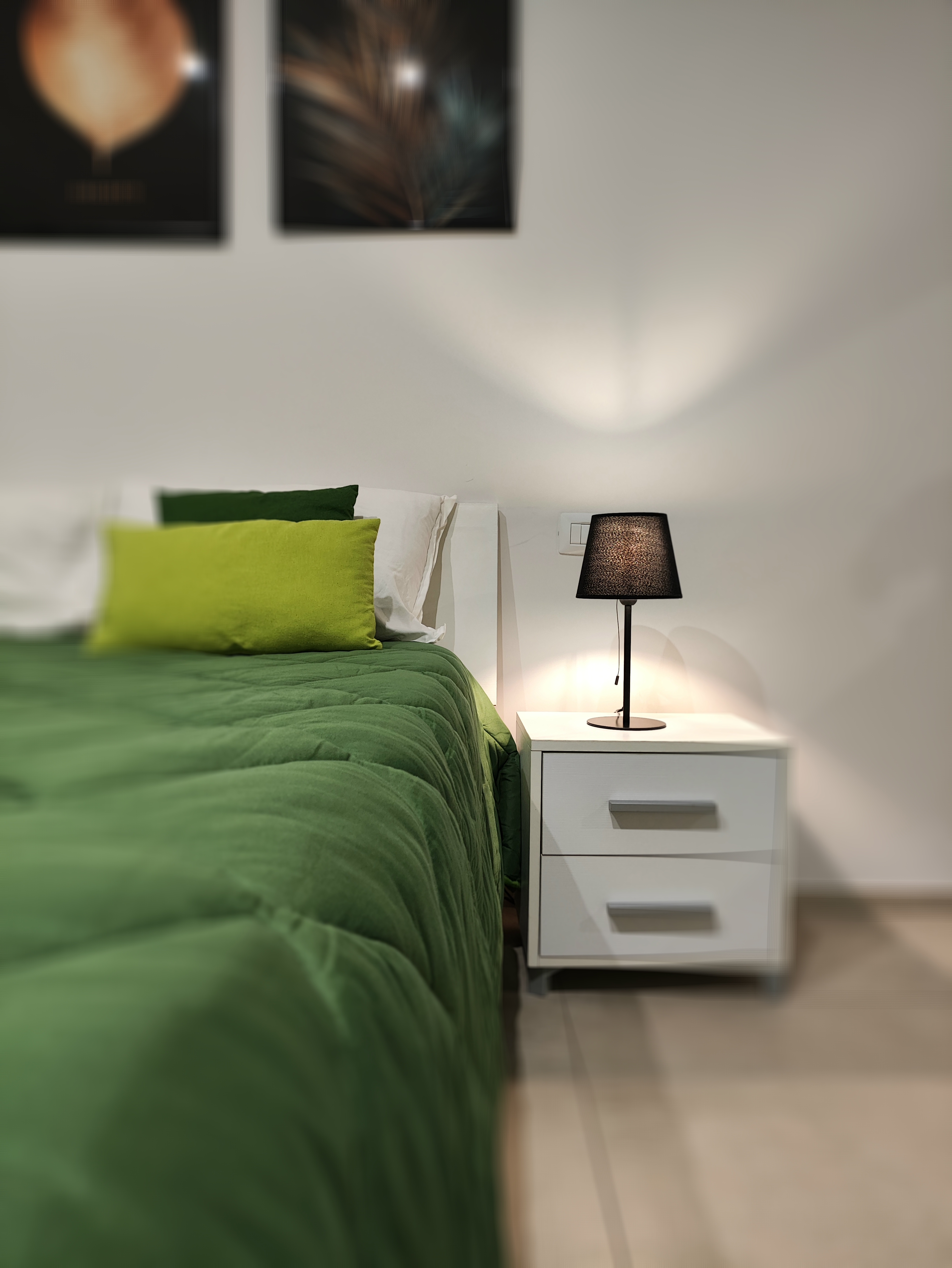 Camera Verde 7